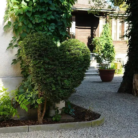 Fritzi Πανσιόν 3*